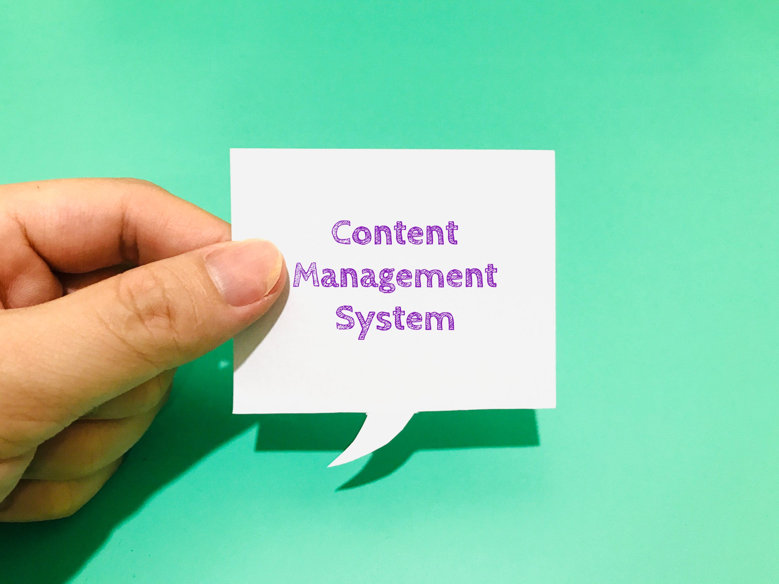 Wordpress content management system